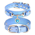 Collier pour chien en cuir et strass réglable – CLEVI Paris