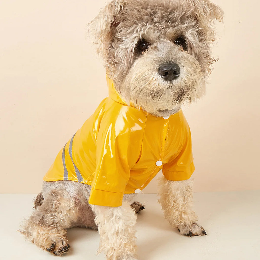 Imperméable réfléchissant pour petit chien – CLEVI Paris
