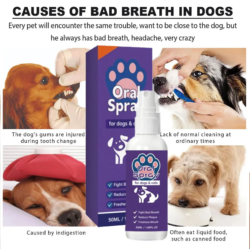 Spray buccal 30 ml et lingettes animaux – CLEVI Paris